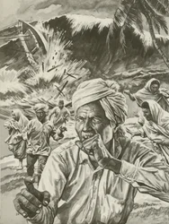 Das Ganges-Delta, November 1970